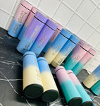 Temperature Water Bottle